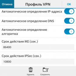 Настройка VPN на BlackBerry